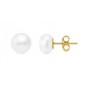 PENDIENTES MUJER PERLA
