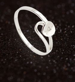 Anillos